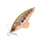 Wobler Sakura Phoxy SpyBait 3,5cm 4,4gr T12 Wobler Sakura Phoxy SpyBait 3,5cm 4,4gr T12