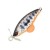 Wobler Sakura Phoxy SpyBait 3,5cm 4,4gr T13