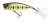 Wobler Sakura Pop´N Dog 55F 5,5cm 7,7gr 106 Tucunare