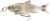 Wobler Savage Gear 3D Glide Roach 17cm 78g Ghost Roach