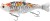 Wobler Savage Gear 3D Hard Pulsetail Roach Slow Sinking 13,5cm 40gr Koi šaran
