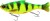 Wobler Savage Gear 3D Hard Pulsetail Roach Slow Sinking 18cm 90gr Firetiger