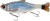 Wobler Savage Gear 3D Hard Pulsetail Roach Slow Sinking 18cm 90gr Roach