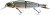 Wobler Savage Gear 4Play Classic Lowrider 13cm 21g Roach