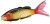 Wobler Shimano Bantam BT Sraptor 18,2cm 58gr 004 Kg Red