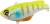 Wobler Shimano Bantam Rattlin Sur-Vibe Sinking 6,2cm 14gr Chart Gill