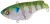 Wobler Shimano Bantam Rattlin Sur-Vibe Sinking 6,2cm 14gr Matte Gill