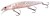Wobler Shimano BT World Minnow Flash Boost 11,5cm 17gr 008 Pink