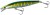 Wobler Shimano Cardiff ML Bullet AR-C 9,3cm 10g 010 Bl Chart
