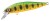 Wobler Shimano Cardiff Stream Flat 65ES 6,5cm 9,2gr 005 Green Gold