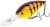 Wobler Shimano Yasei Cover Crank F MR 7cm 17,5gr Orange Tiger