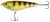 Wobler Shimano Yasei Javelin Jerk SP 160mm 98g Perch