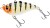 Wobler Westin Buzzvibe 100FS 57g Zombie Seabream