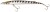 Wobler Westin CudaKid 180EFS 57g Barracuda