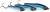 Wobler Westin Goby V2 Dull Sunrise 8,5cm 24gr