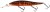 Wobler Westin Jerkbite MR 11cm 15gr Motoroil Burbot Wobler Westin Jerkbite MR 11cm 15gr Motoroil Burbot