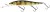 Wobler Westin Jerkbite MR 11cm 15gr Real Perch Wobler Westin Jerkbite MR 11cm 15gr Real Perch