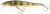Wobler Westin Jerkbite SR 17cm 47g Suspending Real Perch