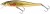 Wobler Westin Jerkbite SR 17cm 47g Suspending Real Rudd