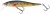 Wobler Westin Jerkbite SR 7,5cm 5gr Brown Trout Fry