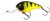 Wobler Westin MegaBite DR Crankbait Plutajući 6cm 19gr Oštriga Wobler Westin MegaBite DR Crankbait Plutajući 6cm 19gr Oštriga