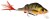 Wobler Westin Percy The Perch Crankbait Floating 10cm 20gr Real Motoroil Perch