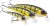 Wobler Westin RawBite Crankbait Low Floating 11cm 26gr Bling Perch