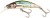 Wobler Westin Rushbait 100EFS 52g Sweetspot
