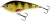 Wobler Westin Swim Glidebait Low Floating 10cm 31gr Pravi smuđ