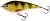 Wobler Westin Swim Glidebait Suspending 6,5cm 9gr Stvarni smuđ