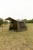 Zaklon Fox EOS Social Shelter XL