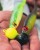 Zavrtna glava Rage Pelagic Screws UV Yellow