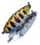 Žlica Crazy Fish Sense 3,2cm 3gr