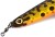 Žlica Rage Ultra UV Spoons 14cm 61gr